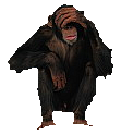 speak no evil