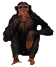 speak no evil